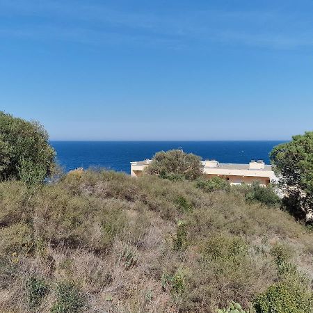 Appartement Avec Terrasse, Wifi, Parking Prive, A 2Min De La Plage Des Elmes - Banyuls-Sur-Mer - Fr-1-309-130 Kültér fotó