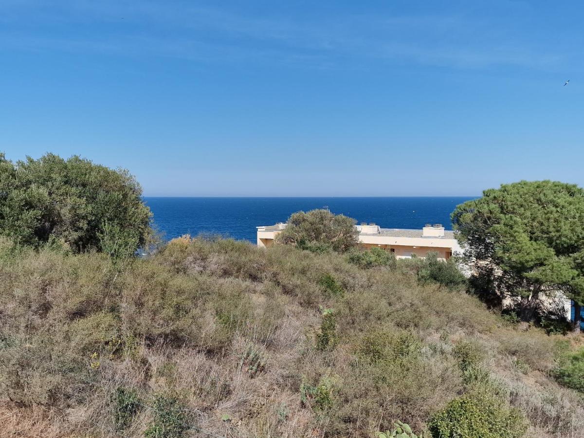 Appartement Avec Terrasse, Wifi, Parking Prive, A 2Min De La Plage Des Elmes - Banyuls-Sur-Mer - Fr-1-309-130 Kültér fotó
